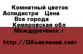 Комнатный цветок Аспидистра › Цена ­ 150 - Все города  »    . Кемеровская обл.,Междуреченск г.